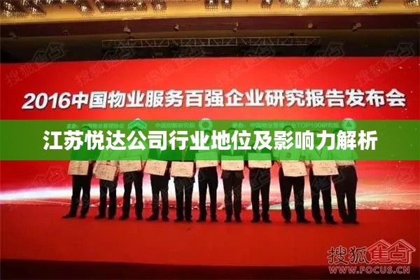 江苏悦达公司行业地位及影响力解析