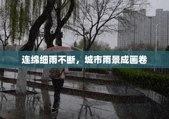 连绵细雨不断，城市雨景成画卷