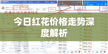 忠心耿耿