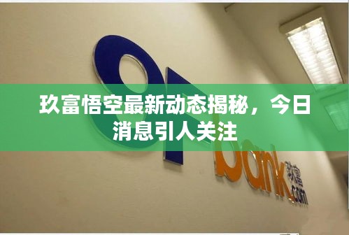 玖富悟空最新动态揭秘，今日消息引人关注