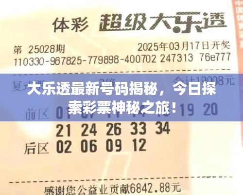 大乐透最新号码揭秘，今日探索彩票神秘之旅！