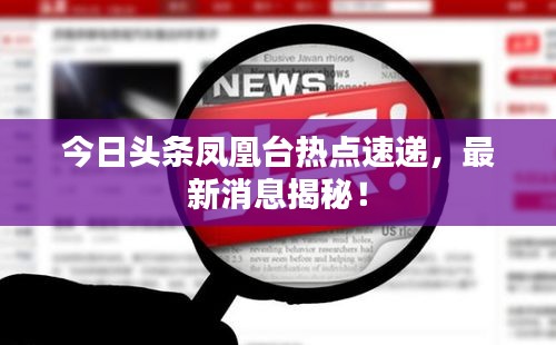 今日头条凤凰台热点速递，最新消息揭秘！