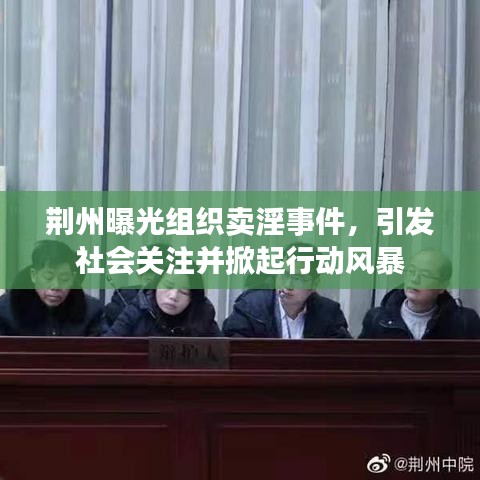 荆州曝光组织卖淫事件，引发社会关注并掀起行动风暴