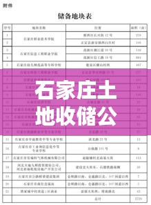 石家庄土地收储公司权威排名榜单揭晓！