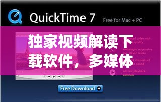 独家视频解读下载软件，多媒体体验新时代揭秘！