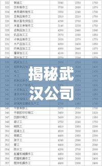 揭秘武汉公司薪资排行榜