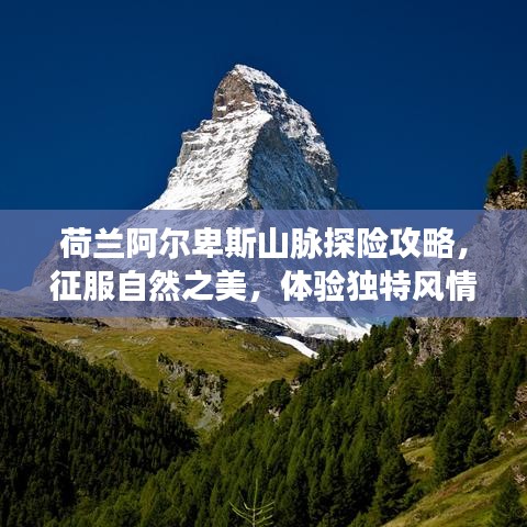 标新创异