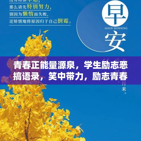 青春正能量源泉，学生励志恶搞语录，笑中带力，励志青春！