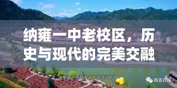 纳雍一中老校区，历史与现代的完美交融胜地