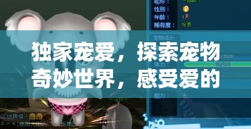 独家宠爱，探索宠物奇妙世界，感受爱的力量（免费版攻略）