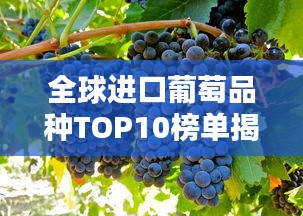 2025年4月 第60页