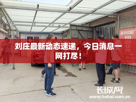 刘庄最新动态速递，今日消息一网打尽！