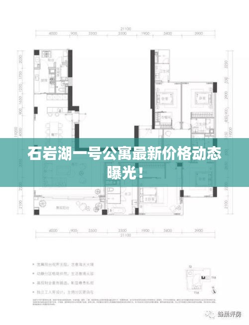 石岩湖一号公寓最新价格动态曝光！