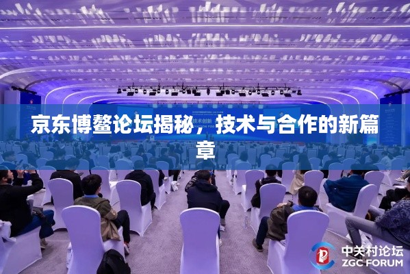 京东博鳌论坛揭秘，技术与合作的新篇章