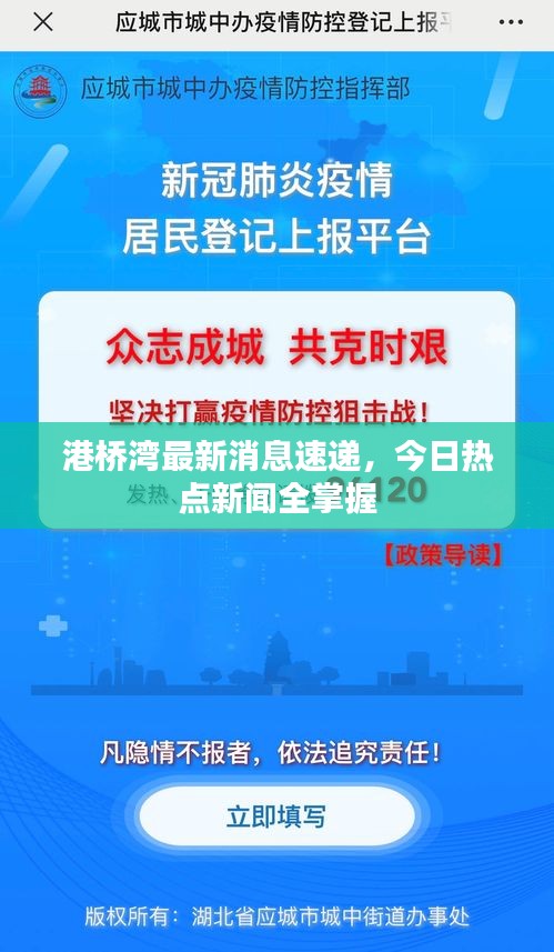 港桥湾最新消息速递，今日热点新闻全掌握