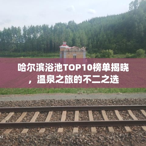 哈尔滨浴池TOP10榜单揭晓，温泉之旅的不二之选
