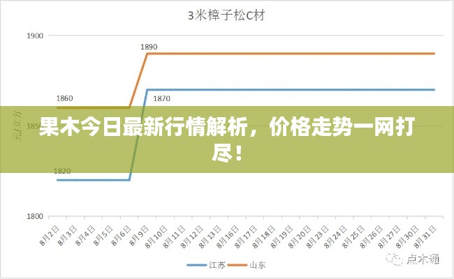大张挞伐