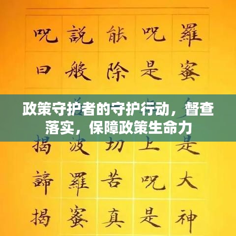 政策守护者的守护行动，督查落实，保障政策生命力