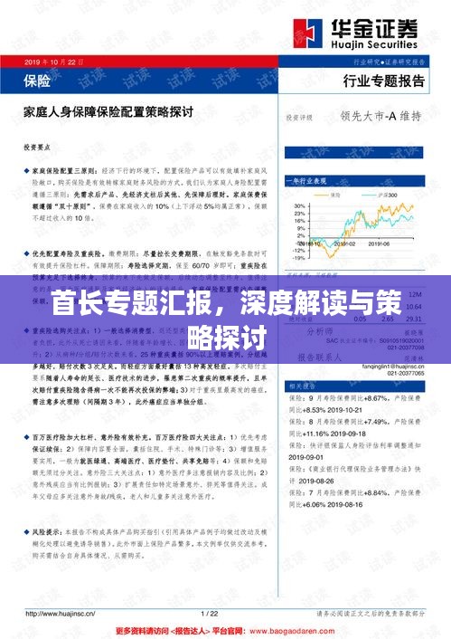首长专题汇报，深度解读与策略探讨