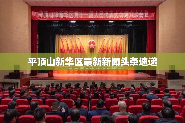 平顶山新华区最新新闻头条速递