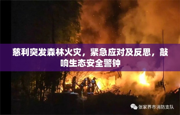 慈利突发森林火灾，紧急应对及反思，敲响生态安全警钟