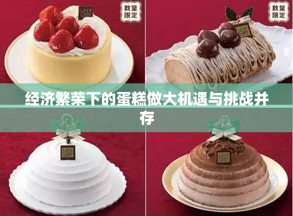 经济繁荣下的蛋糕做大机遇与挑战并存