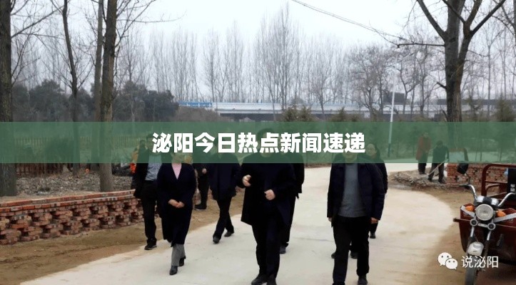 泌阳今日热点新闻速递