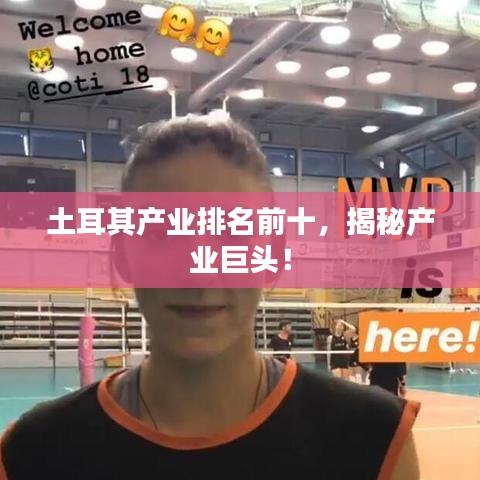 土耳其产业排名前十，揭秘产业巨头！