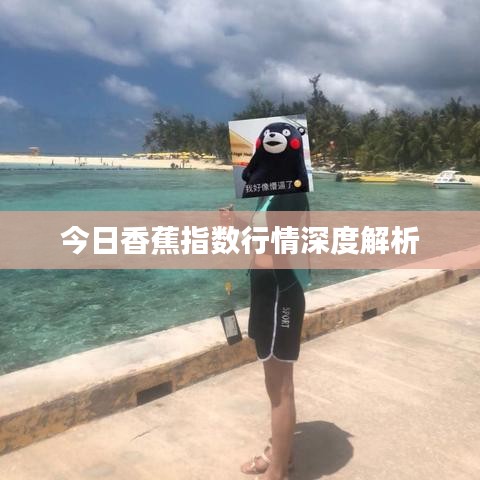今日香蕉指数行情深度解析