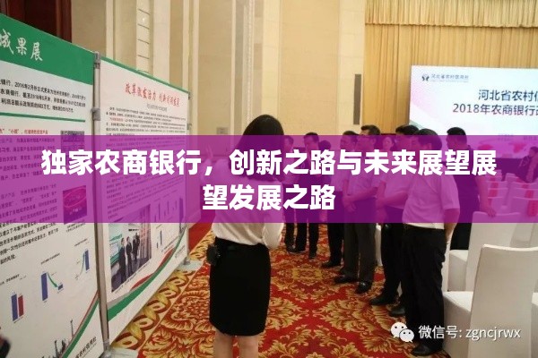 独家农商银行，创新之路与未来展望展望发展之路