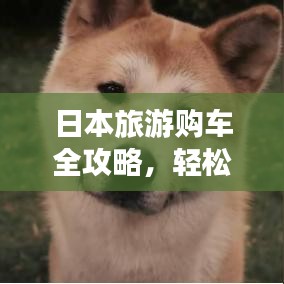 日本旅游购车全攻略，轻松自驾游，畅游日本不迷路