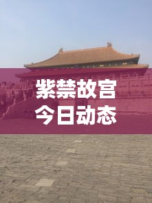 排水板疏水板 第9页