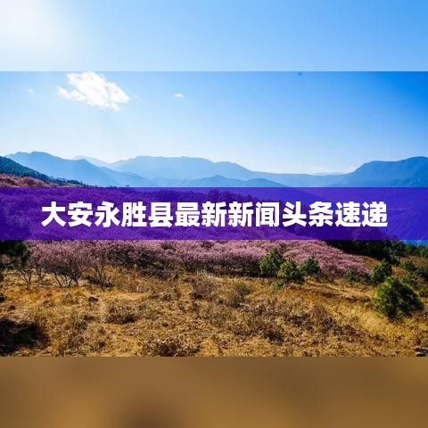大安永胜县最新新闻头条速递