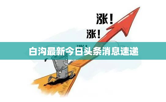 白沟最新今日头条消息速递