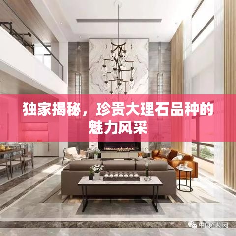 独家揭秘，珍贵大理石品种的魅力风采