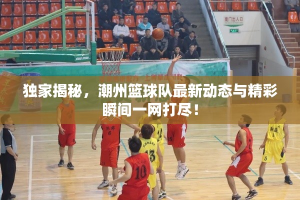 独家揭秘，潮州篮球队最新动态与精彩瞬间一网打尽！