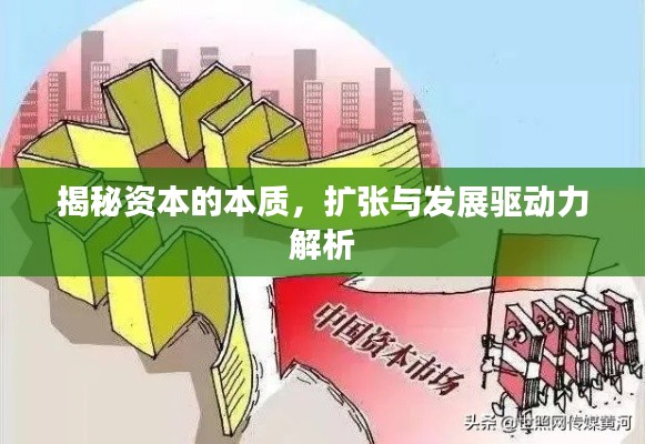揭秘资本的本质，扩张与发展驱动力解析
