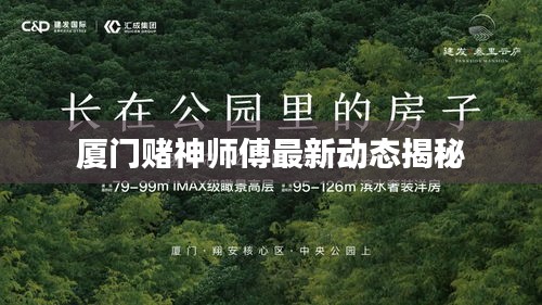 厦门赌神师傅最新动态揭秘