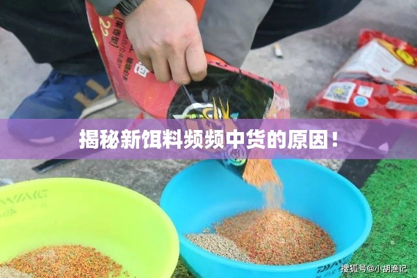 揭秘新饵料频频中货的原因！