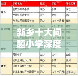 新乡十大问题小学深度分析与反思排名