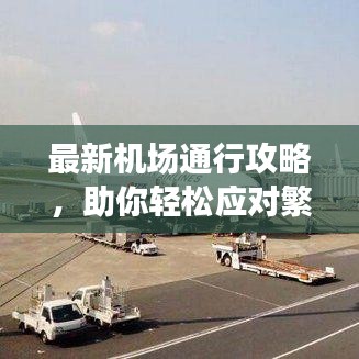 越鸟南栖