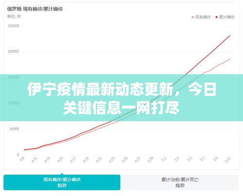伊宁疫情最新动态更新，今日关键信息一网打尽