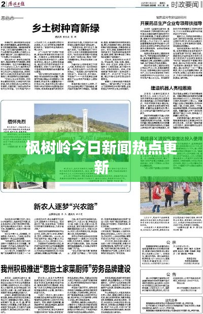 枫树岭今日新闻热点更新