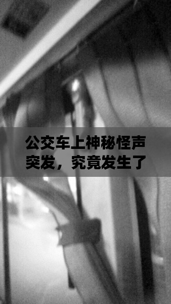 公交车上神秘怪声突发，究竟发生了什么？