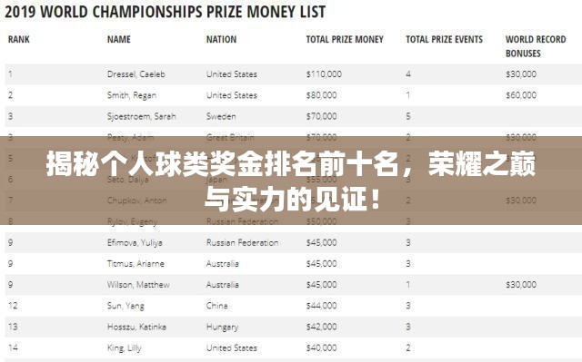 揭秘个人球类奖金排名前十名，荣耀之巅与实力的见证！