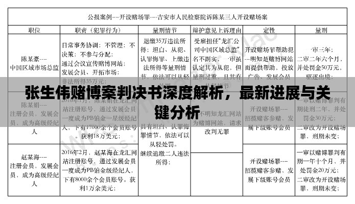 张生伟赌博案判决书深度解析，最新进展与关键分析