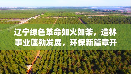 辽宁绿色革命如火如荼，造林事业蓬勃发展，环保新篇章开启！