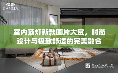 室内顶灯新款图片大赏，时尚设计与极致舒适的完美融合