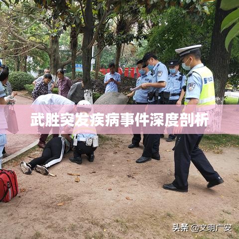 武胜突发疾病事件深度剖析