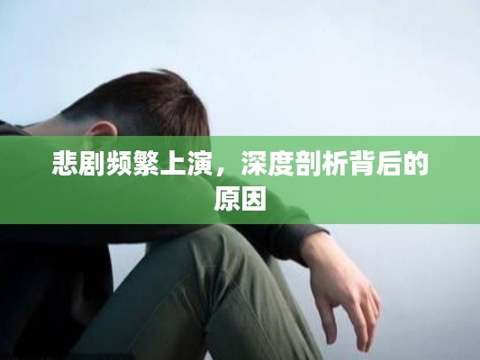 悲剧频繁上演，深度剖析背后的原因